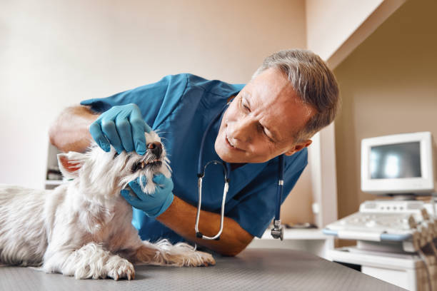 Best Emergency Treatment for Dental Infections or Abscesses in Doylestown, OH